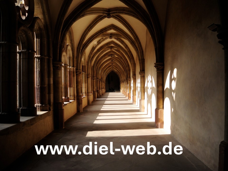 www.diel-web.de